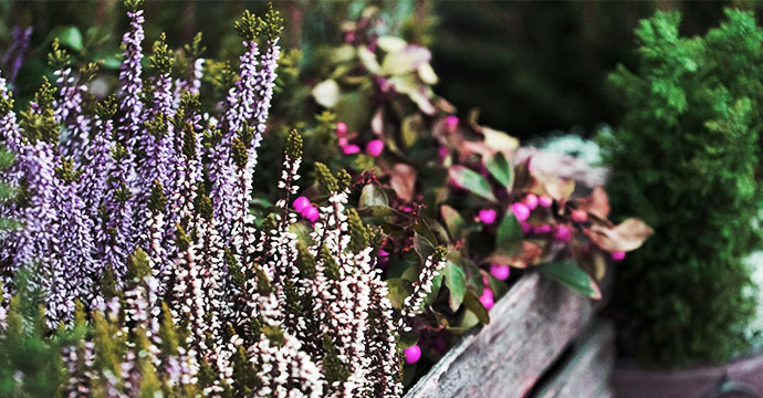 der balkon im herbst 03